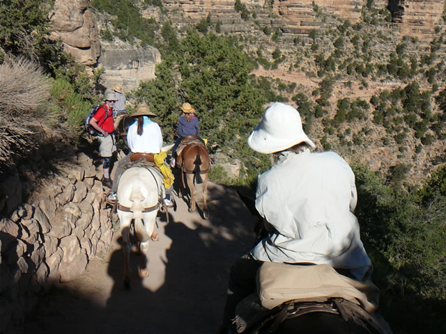 images/B- Mule Ride, riding down in to Grand Canyon (8).jpg